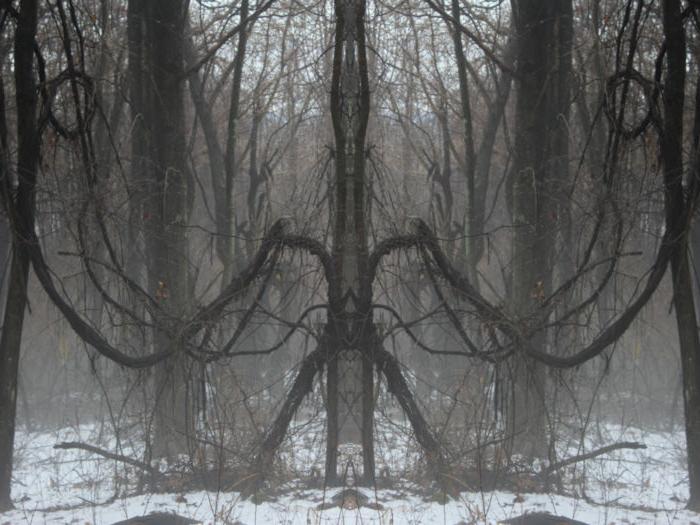 manipulated photo of trees in winter